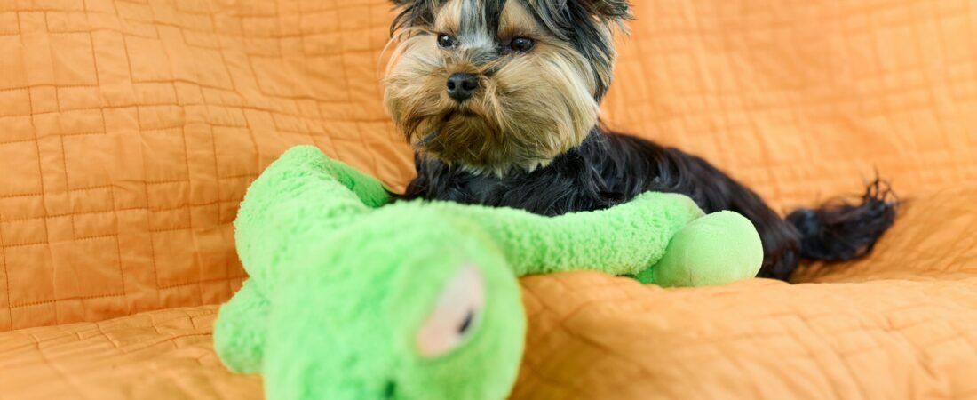 Peluche chiot : le guide complet pour un compagnon d&rsquo;exception